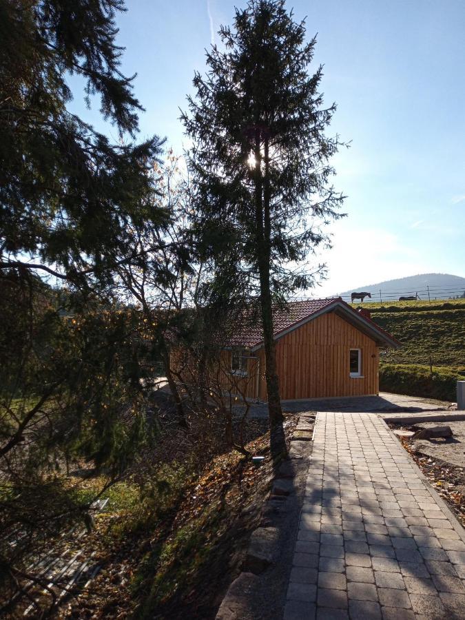 S'Heimatgfuehl Schwarzenberg (Baden-Wurttemberg) Exterior foto
